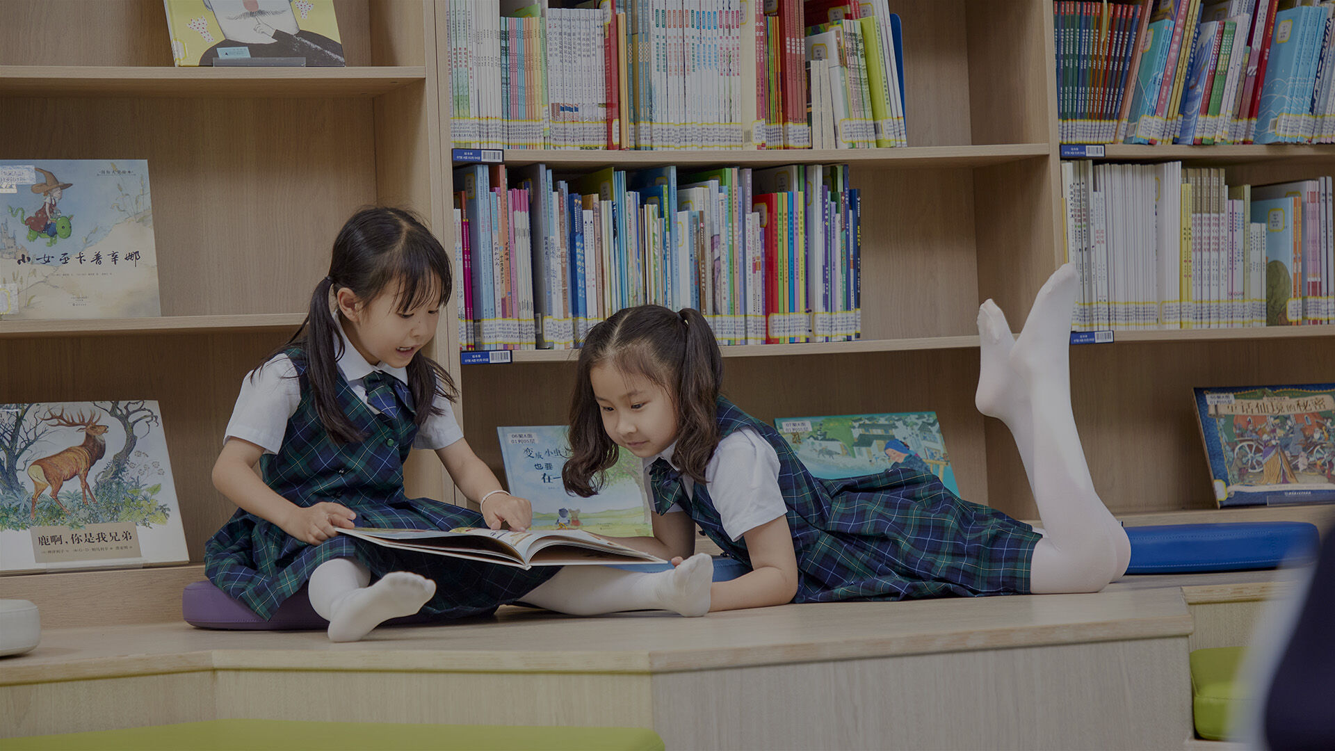 Integrated Reading 