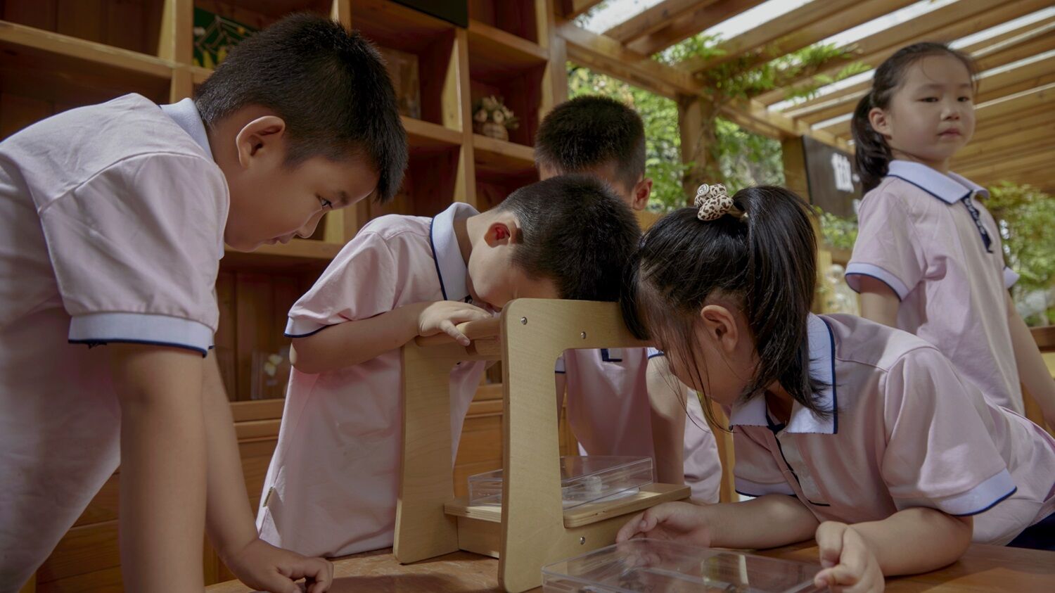 Integrated Student Development