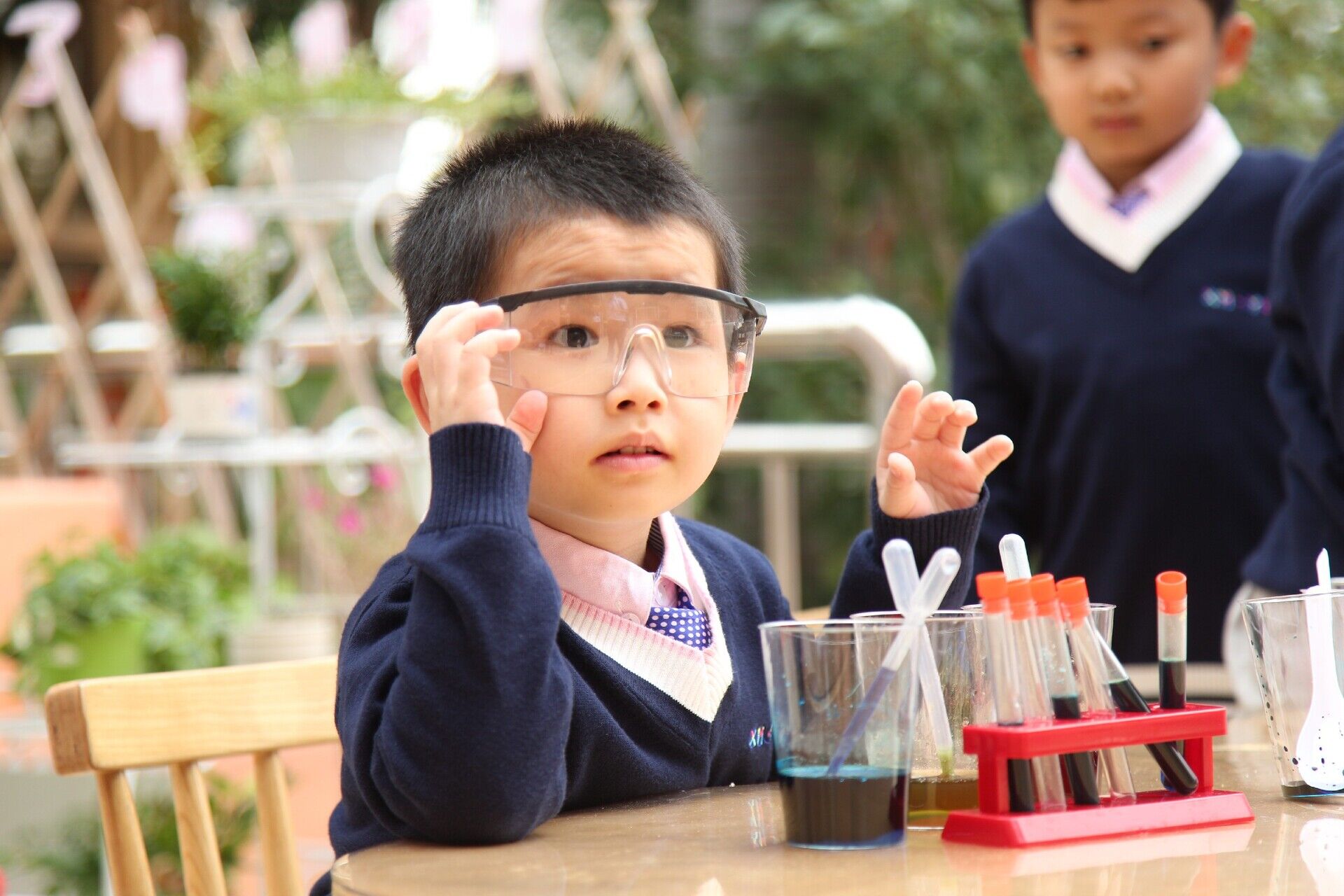 Four-Tier Curriculum Structure