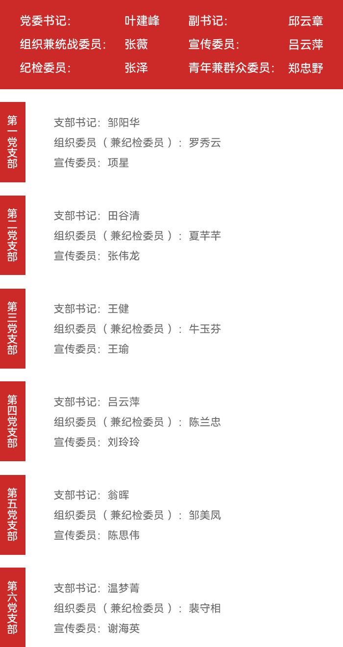 Party Committee Structure