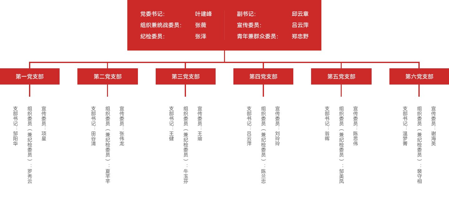 Party Committee Structure