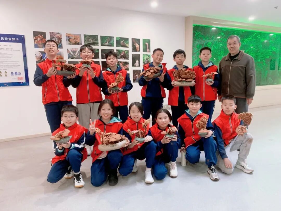 以志愿之名，赴春日之约｜我校初中部学雷锋系列活动，让善意在校园生根发芽